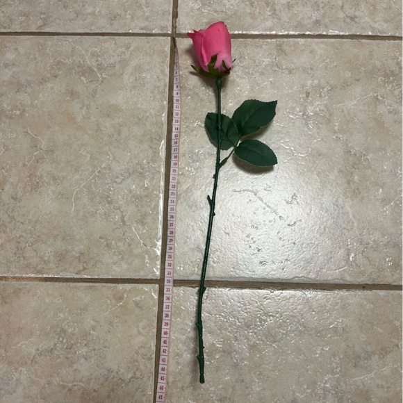 FOR SIZE REFERENCE - Picture 1 of 2